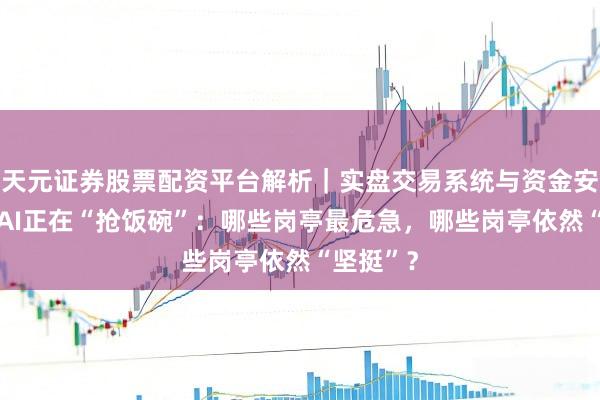 天元证券股票配资平台解析｜实盘交易系统与资金安全说明 AI正在“抢饭碗”：哪些岗亭最危急，哪些岗亭依然“坚挺”？