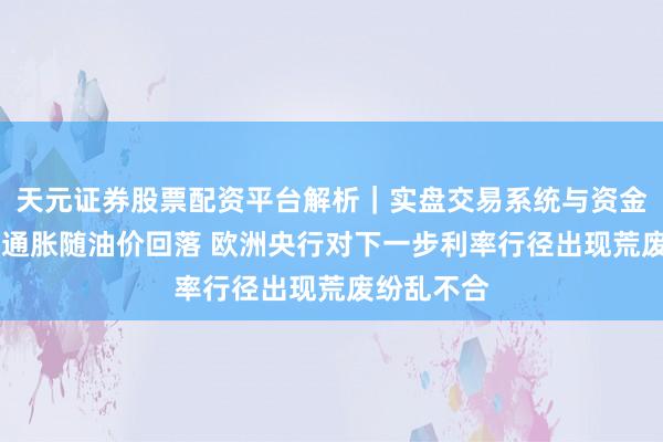天元证券股票配资平台解析|实盘交易系统与资金安全说明 通胀随油价回落 欧洲央行对下一步利率行径出现荒废纷乱不合
